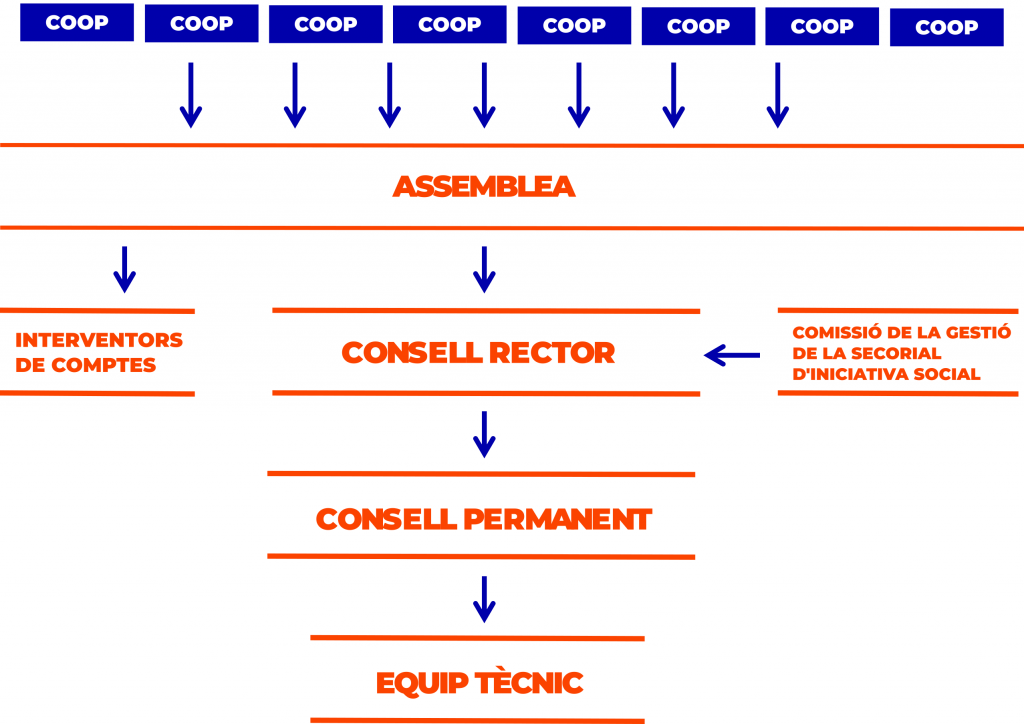 Estructura de la Federació de Cooperatives de Treball de Catalunya